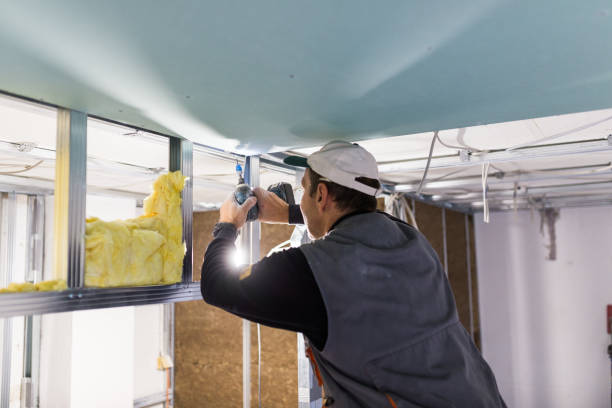 Best Specialty Insulation in Beverly Hills, FL