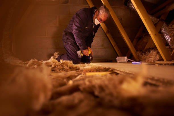 Best Insulation for Specific Applications in Beverly Hills, FL